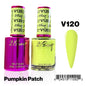 21Sweet V120 Pumpkin Patch